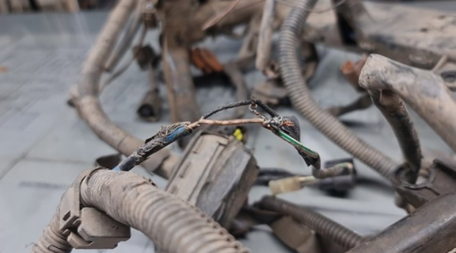 2jz ge vvti васины усы. Про увиденное и реакцию - поддерживаю.