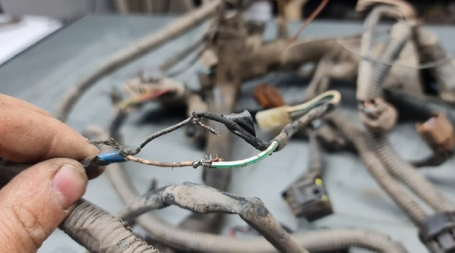 2jz ge vvti васины усы. Про увиденное и реакцию - поддерживаю.