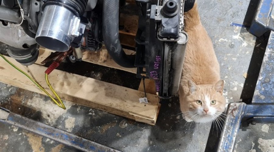 3uz fe 6at под мт.  Автономный двс для свапа своими руками в любой проект