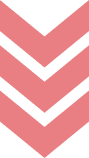 Главная Главная